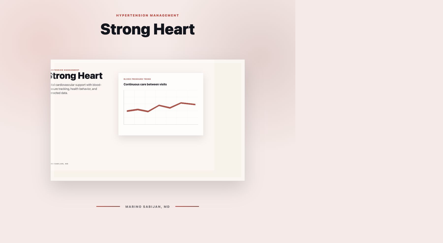 Strong Heart portfolio cover.